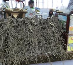 Kava roots for sale in the Suva Market